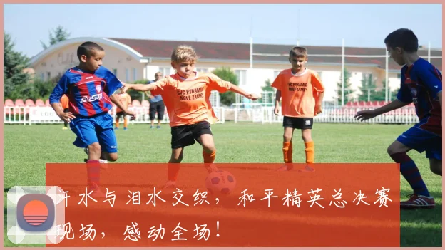 汗水与泪水交织，和平精英总决赛现场，感动全场！
