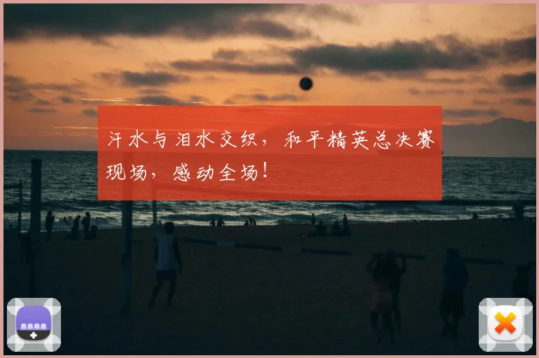 汗水与泪水交织，和平精英总决赛现场，感动全场！