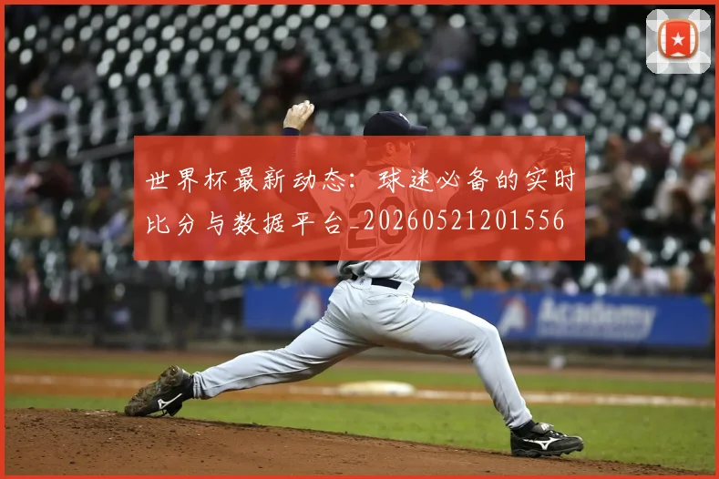 世界杯最新动态：球迷必备的实时比分与数据平台_20260521201556