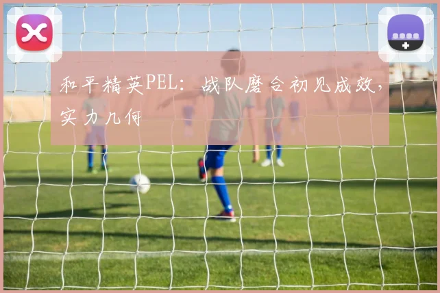 和平精英PEL：战队磨合初见成效，实力几何